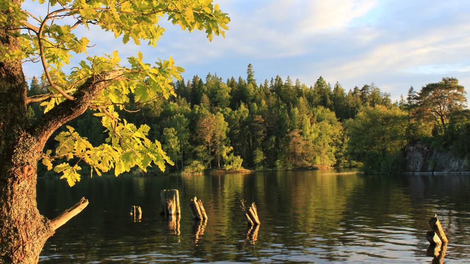 En sjö mitt i skogen