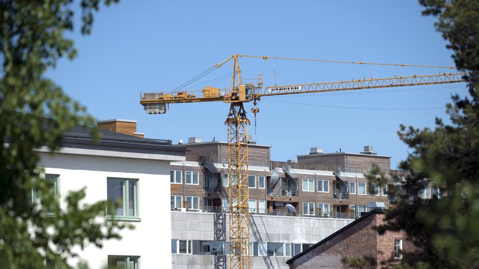 Blurred trees framing the photo of multiple apartments in different colors, a crane centered in front of the houses.